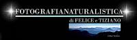 Fotografia Naturalistica
