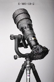 Image0003