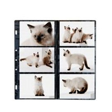 1-SVAR-PHOTOVISION-12-2.jpg