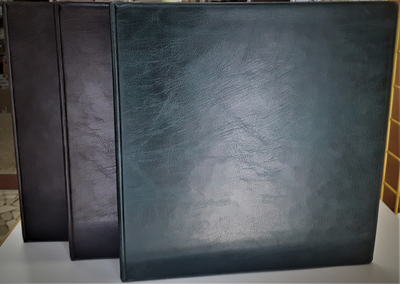 SVARRECORD27X27.jpg